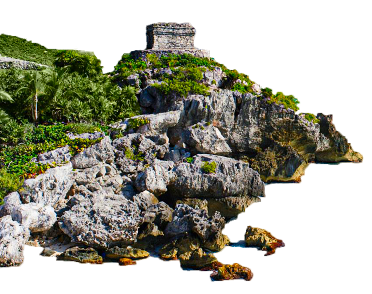 Animated Image